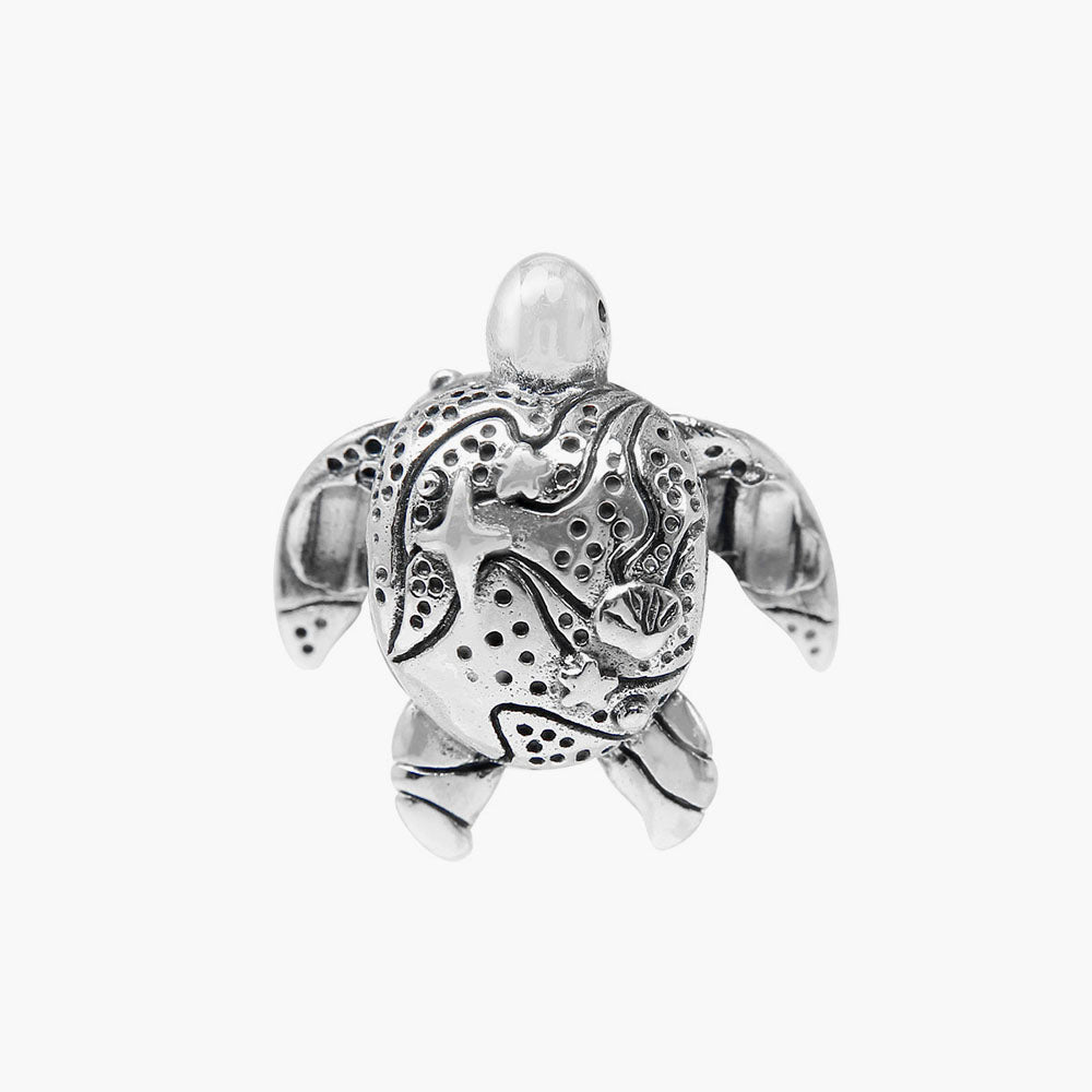 ELDER TURTLE
