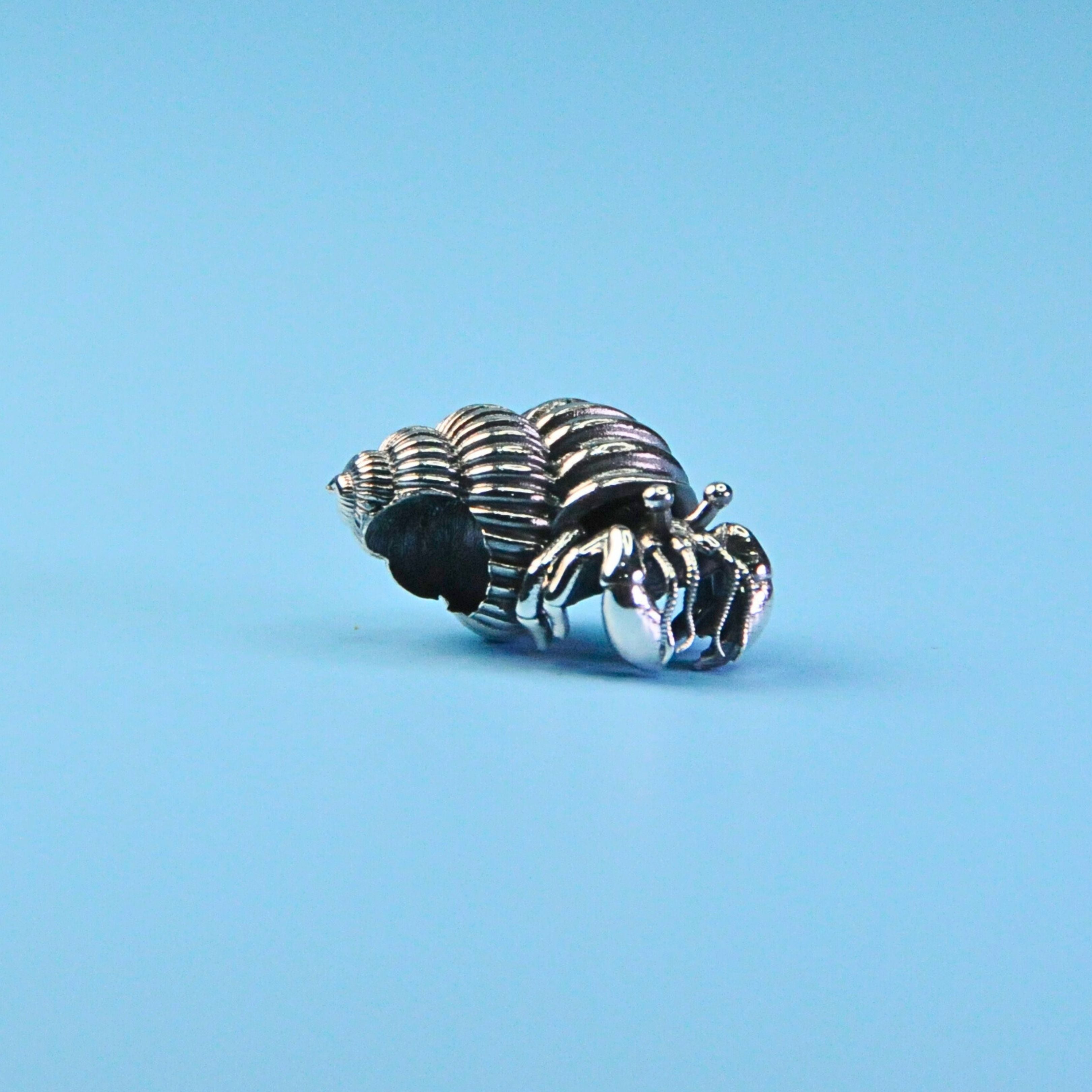 Hermit Crab Bead